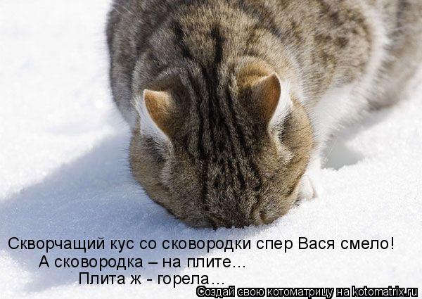 Скворчащий кус со сковородки спер Вася смело! А сковородка – на плите… Плита ж - горела…... Котоматрица: Скворчащий кус со сковородки спер Вася смело! А сковородка – на плите… Плита ж - горела…
