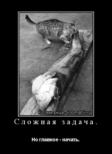Котоматрица: Сложная задача.  Но главное - начать.