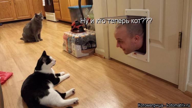 Котоматрица: Ну и кто теперь кот???