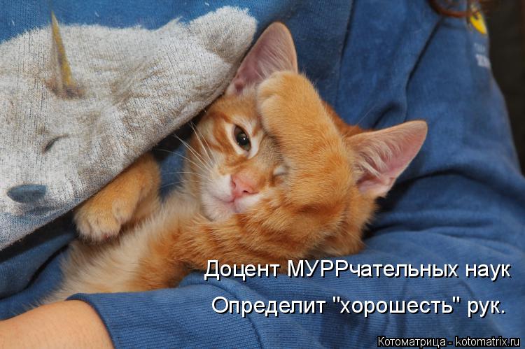 Доцент МУРРчательных наук Определит "хорошесть" рук.... Котоматрица: Доцент МУРРчательных наук Определит "хорошесть" рук.