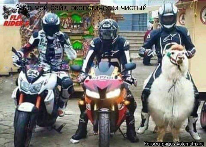 Котоматрица: Зато мой байк, экологически чистый!