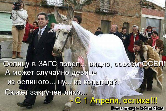 Ослицу в ЗАГС повел... видно, совсем ОСЕЛ! А может случайно девица из ослиного... ну... из копытца?! ... Котоматрица: Ослицу в ЗАГС повел... видно, совсем ОСЕЛ! А может случайно девица из ослиного... ну... из копытца?! Сюжет закручен лихо... - С 1 Апреля, ослиха!!!