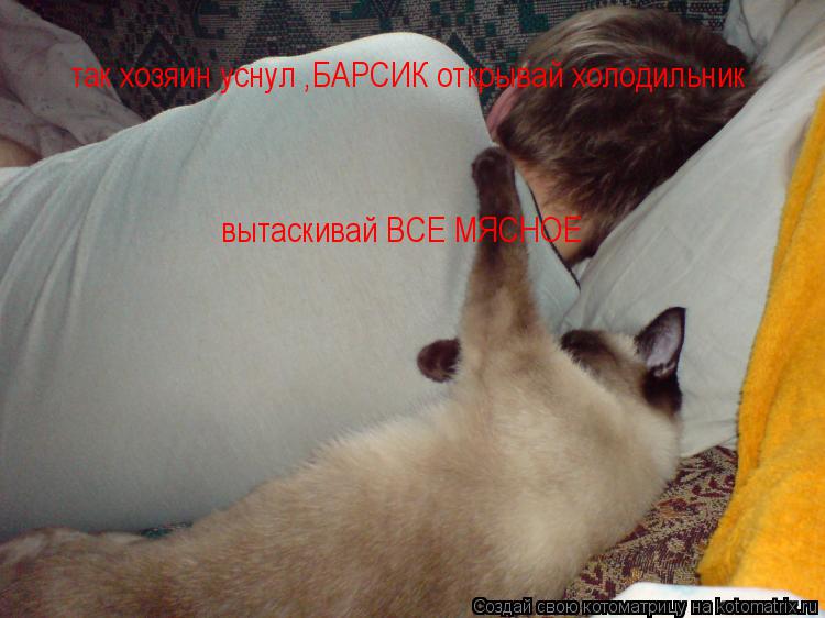 так хозяин уснул ,БАРСИК открывай холодильник вытаскивай ВСЕ МЯСНОЕ... Котоматрица: так хозяин уснул ,БАРСИК открывай холодильник вытаскивай ВСЕ МЯСНОЕ