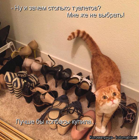 - Ну и зачем столько туалетов? Мне же не выбрать! Лучше бы колбасы купила...... Котоматрица: - Ну и зачем столько туалетов? Мне же не выбрать! Лучше бы колбасы купила...