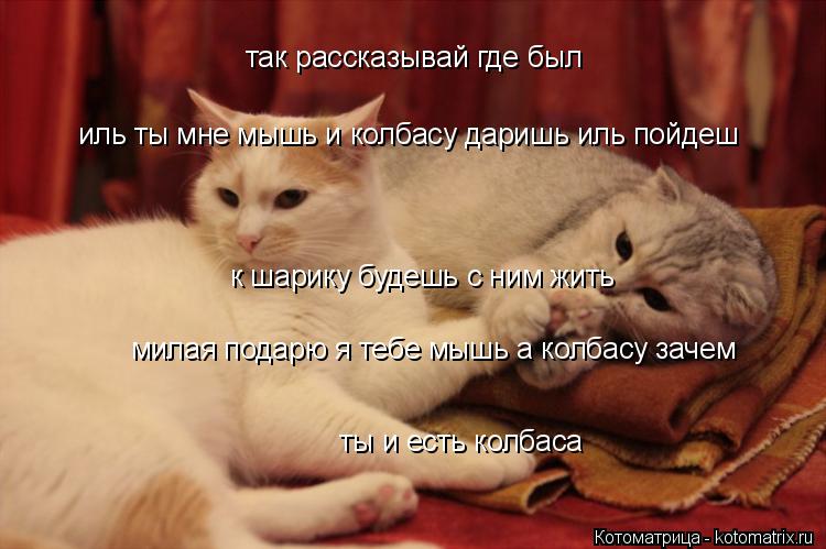 так рассказывай где был иль ты мне мышь и колбасу даришь иль пойдеш к шарику будешь с ним жить милая... Котоматрица: так рассказывай где был иль ты мне мышь и колбасу даришь иль пойдеш к шарику будешь с ним жить милая подарю я тебе мышь а колбасу зачем ты и