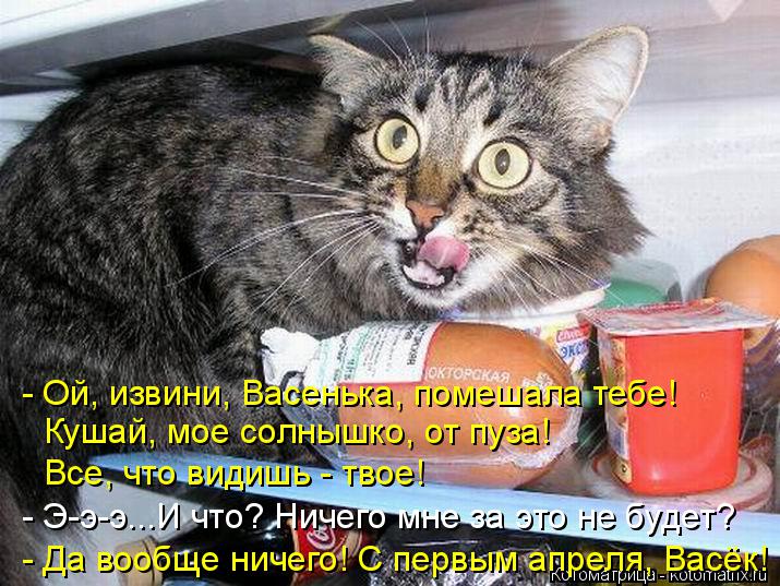 - Ой, извини, Васенька, помешала тебе! Кушай, мое солнышко, от пуза! Все, что видишь - твое! - Э-э-э... Котоматрица: - Ой, извини, Васенька, помешала тебе! Кушай, мое солнышко, от пуза! Все, что видишь - твое! - Э-э-э...И что? Ничего мне за это не будет? - Да вообще н