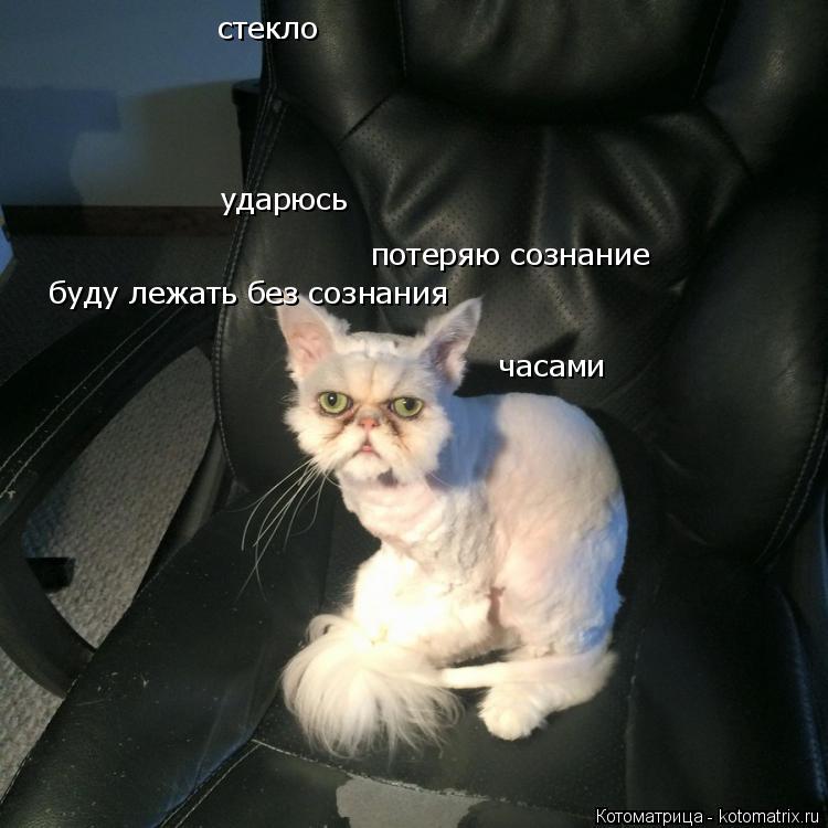 стекло ударюсь потеряю сознание буду лежать без сознания часами... Котоматрица: стекло ударюсь потеряю сознание буду лежать без сознания часами