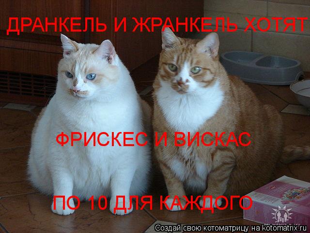 Котоматрица: ДРАНКЕЛЬ И ЖРАНКЕЛЬ ХОТЯТ  ФРИСКЕС И ВИСКАС ПО 10 ДЛЯ КАЖДОГО