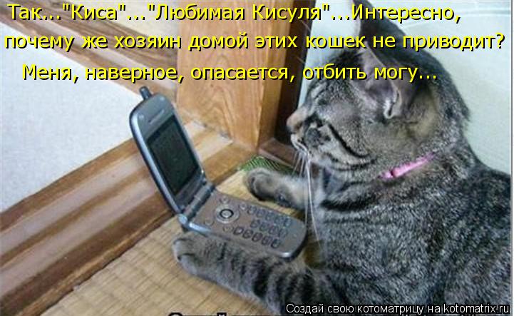 Так..."Киса"..."Любимая Кисуля"...Интересно, почему же хозяин домой этих кошек не приводит? Меня, на... Котоматрица: Так..."Киса"..."Любимая Кисуля"...Интересно, почему же хозяин домой этих кошек не приводит? Меня, наверное, опасается, отбить могу...