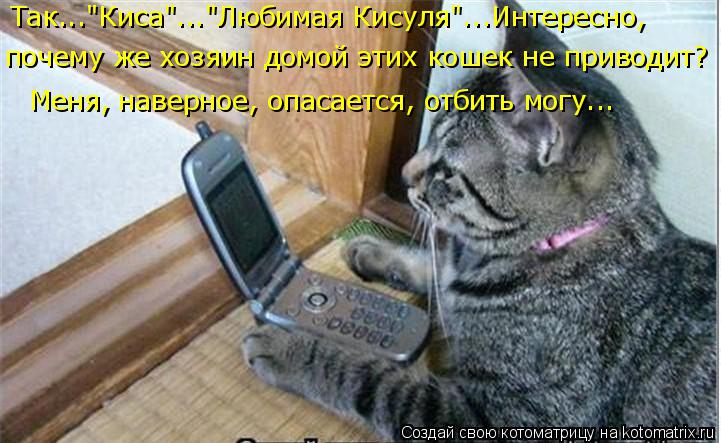 Котоматрица: Так..."Киса"..."Любимая Кисуля"...Интересно,  почему же хозяин домой этих кошек не приводит? Меня, наверное, опасается, отбить могу...