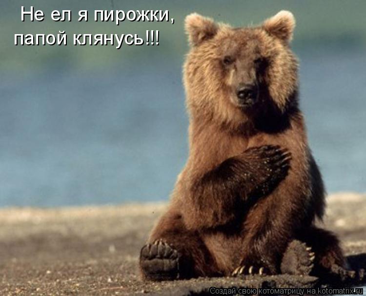 Не ел я пирожки, папой клянусь!!!... Котоматрица: Не ел я пирожки, папой клянусь!!!