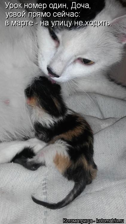 Урок номер один, Доча, усвой прямо сейчас: в марте - на улицу не ходить.... Котоматрица: Урок номер один, Доча, усвой прямо сейчас: в марте - на улицу не ходить.