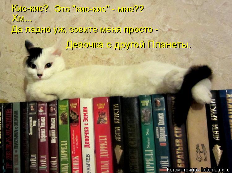 Кис-кис? Это "кис-кис" - мне?? Хм... Да ладно уж, зовите меня просто - Девочка с другой Планеты.... Котоматрица: Кис-кис? Это "кис-кис" - мне?? Хм... Да ладно уж, зовите меня просто - Девочка с другой Планеты.