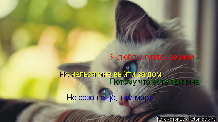 Я люблю гулять весной Но нельзя мне выйти за дом Потому что есть причина Не сезон ещё, там март... Котоматрица: Я люблю гулять весной Но нельзя мне выйти за дом Потому что есть причина Не сезон ещё, там март