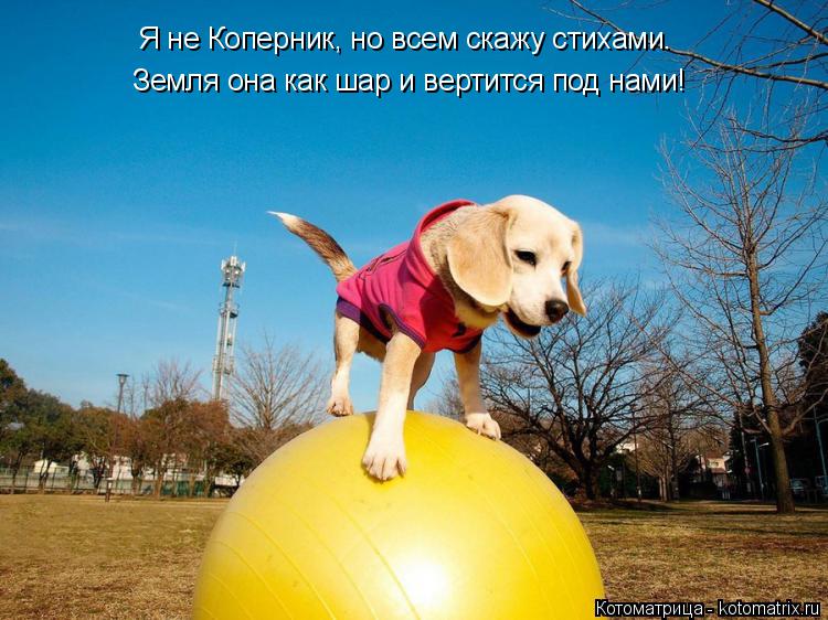 Земля она как шар и вертится под нами! Я не Коперник, но всем скажу стихами.... Котоматрица: Земля она как шар и вертится под нами! Я не Коперник, но всем скажу стихами.