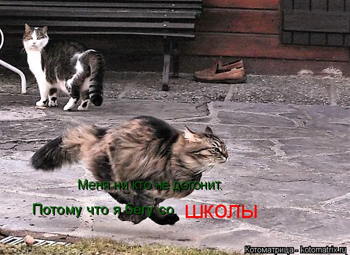 Меня ни кто не догонит. Потому что я бегу со школы... Котоматрица: Меня ни кто не догонит. Потому что я бегу со школы