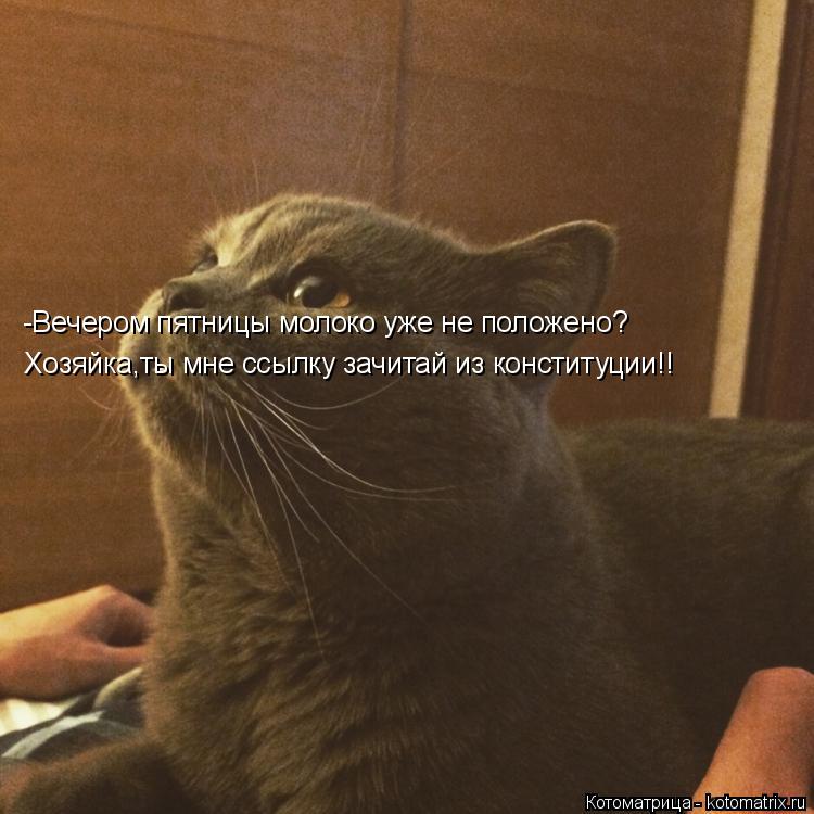 -Вечером пятницы молоко уже не положено? Хозяйка,ты мне ссылку зачитай из конституции!!... Котоматрица: -Вечером пятницы молоко уже не положено? Хозяйка,ты мне ссылку зачитай из конституции!!