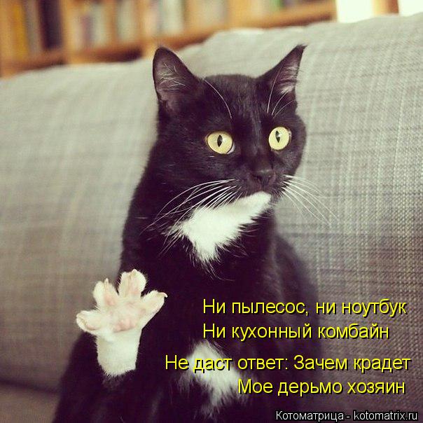 Ни пылесос, ни ноутбук Ни кухонный комбайн Не даст ответ: Зачем крадет Не даст ответ: Зачем крадет Мо... Котоматрица: Ни пылесос, ни ноутбук Ни кухонный комбайн Не даст ответ: Зачем крадет Не даст ответ: Зачем крадет Мое дерьмо хозяин