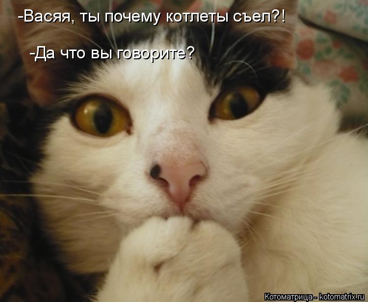-Васяя, ты почему котлеты съел?! -Да что вы говорите?... Котоматрица: -Васяя, ты почему котлеты съел?! -Да что вы говорите?