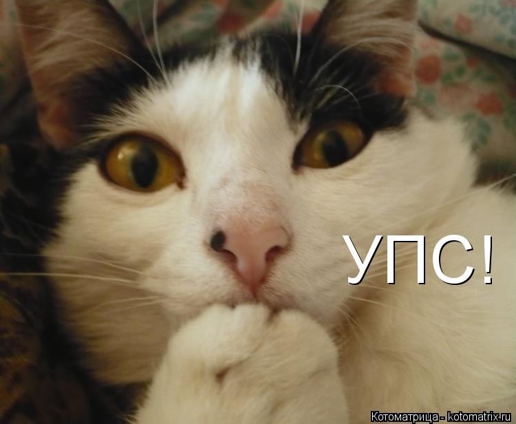 УПС!... Котоматрица: УПС!
