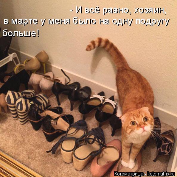 Котоматрица: - И всё равно, хозяин,  в марте у меня было на одну подругу больше!