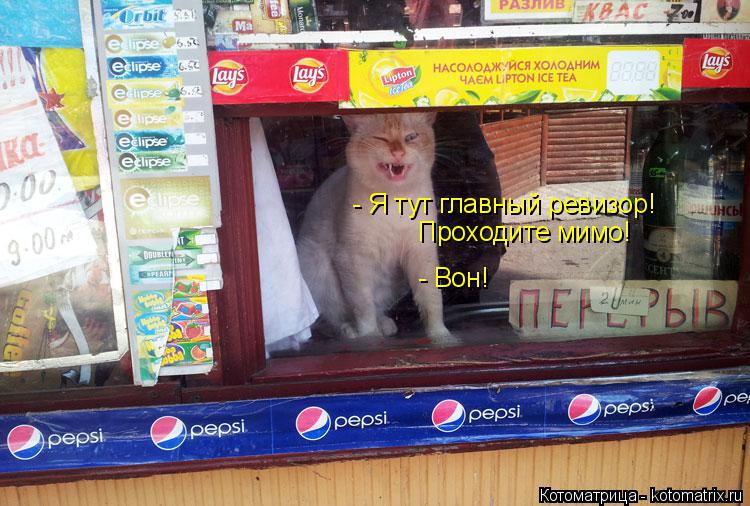 - Я тут главный ревизор! Проходите мимо! - Вон!... Котоматрица: - Я тут главный ревизор! Проходите мимо! - Вон!