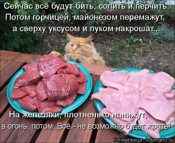 Котоматрица: в огонь, потом. Всё - не возможно будет жрать! На железяки, плотненько нанижут, а сверху уксусом и луком накрошат... Потом горчицей, майонезом 