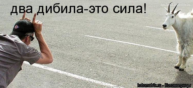 Котоматрица: два дибила-это сила!