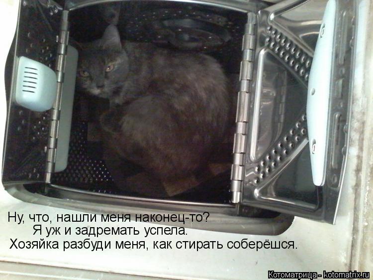 Ну, что, нашли меня наконец-то? Я уж и задремать успела. Хозяйка разбуди меня, как стирать соберёшся.... Котоматрица: Ну, что, нашли меня наконец-то? Я уж и задремать успела. Хозяйка разбуди меня, как стирать соберёшся.
