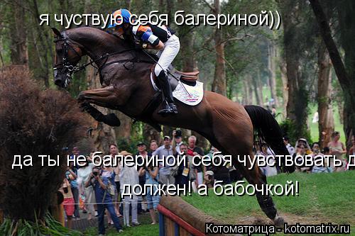 Котоматрица: я чуствую себя балериной)) да ты не балериной себя чувствовать должен! а бабочкой!  должен! а бабочкой!