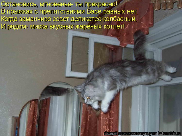 Котоматрица: Остановись, мгновенье- ты прекрасно! В прыжках с препятствиями Васе равных нет, Когда заманчиво зовет деликатес колбасный, И рядом- миска вк