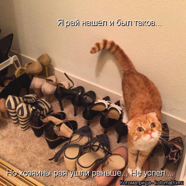 Я рай нашёл и был таков... Но хозяины рая ушли раньше... Не успел....... Котоматрица: Я рай нашёл и был таков... Но хозяины рая ушли раньше... Не успел....