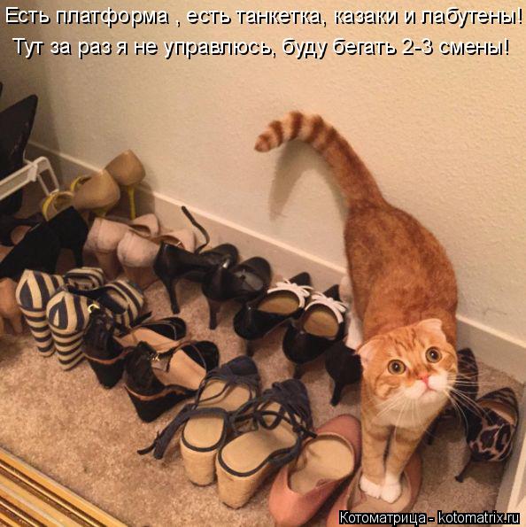 Есть платформа , есть танкетка, казаки и лабутены! Тут за раз я не управлюсь, буду бегать 2-3 смены!... Котоматрица: Есть платформа , есть танкетка, казаки и лабутены! Тут за раз я не управлюсь, буду бегать 2-3 смены!