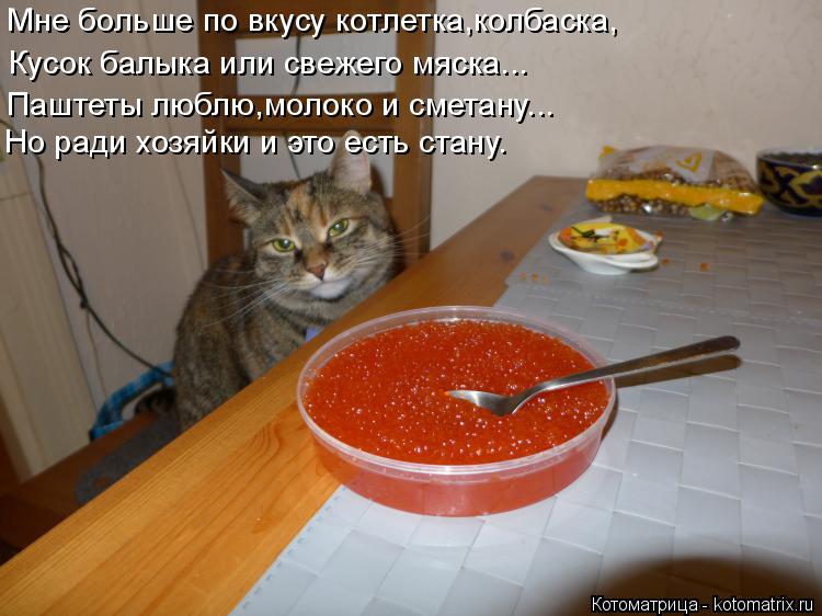 Котоматрица: Мне больше по вкусу котлетка,колбаска, Кусок балыка или свежего мяска... Паштеты люблю,молоко и сметану... Но ради хозяйки и это есть стану.