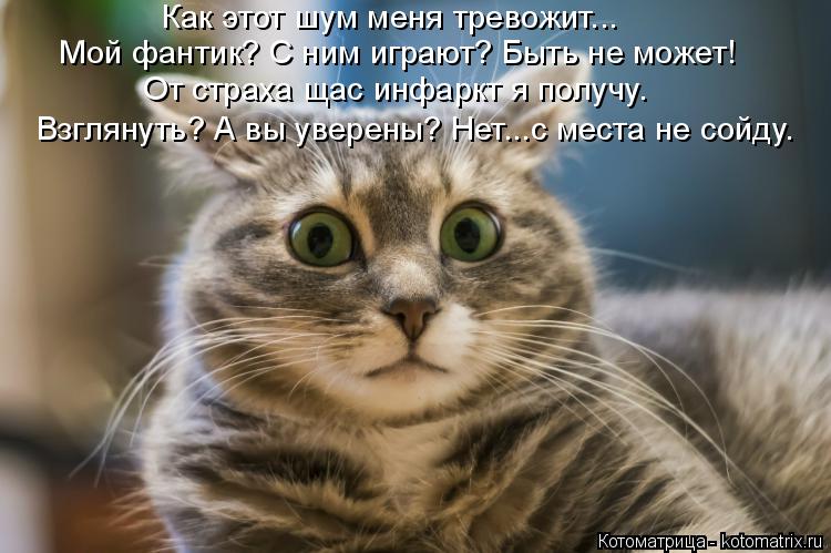 Котоматрица: Как этот шум меня тревожит... Мой фантик? С ним играют? Быть не может! От страха щас инфаркт я получу. Взглянуть? А вы уверены? Нет...с места не с