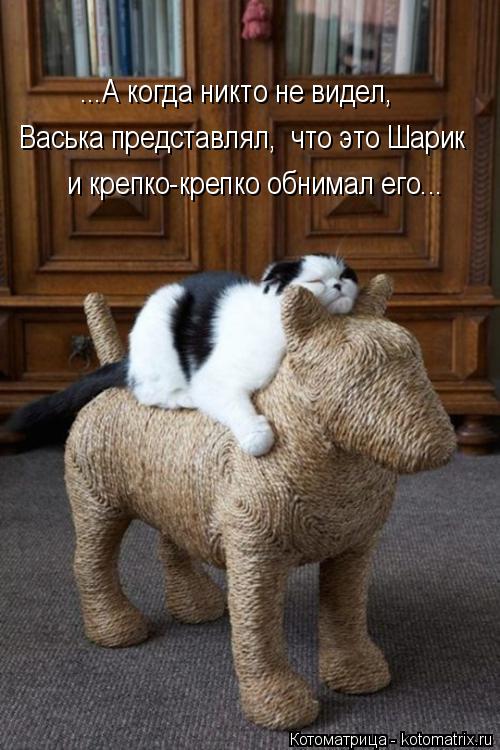 ...А когда никто не видел, Васька представлял, что это Шарик и крепко-крепко обнимал его...... Котоматрица: ...А когда никто не видел, Васька представлял, что это Шарик и крепко-крепко обнимал его...
