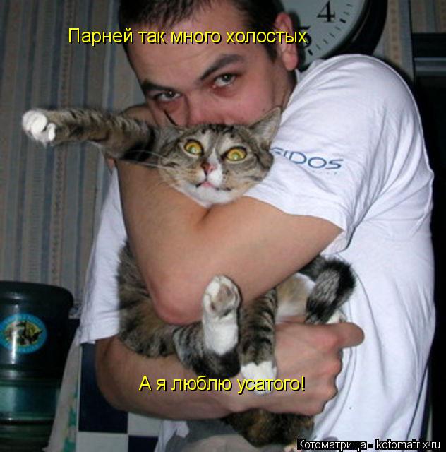Котоматрица: Парней так много холостых А я люблю усатого!