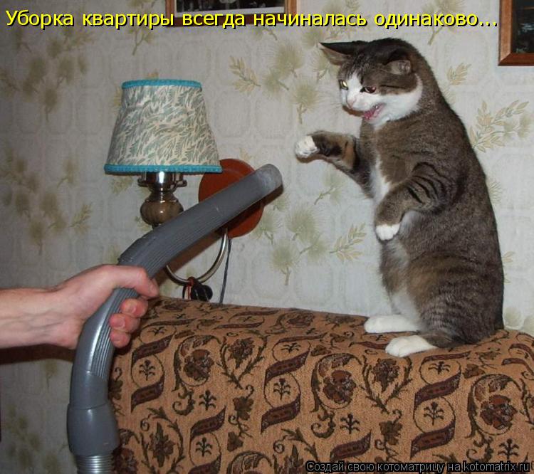 Уборка квартиры всегда начиналась одинаково...... Котоматрица: Уборка квартиры всегда начиналась одинаково...