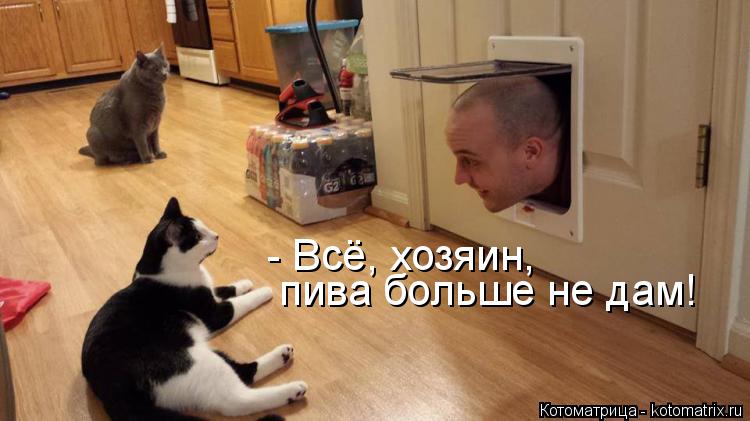 Котоматрица: - Всё, хозяин, пива больше не дам!