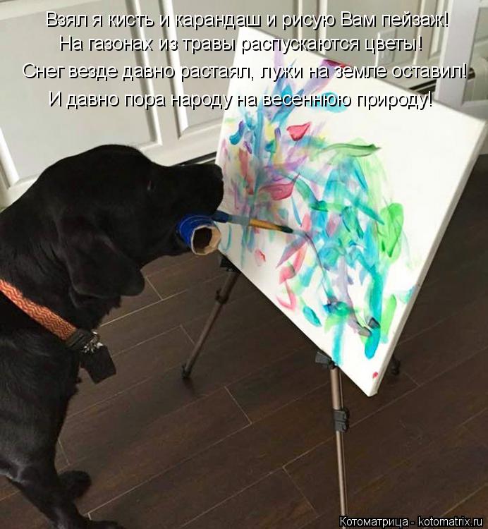 Взял я кисть и карандаш и рисую Вам пейзаж! На газонах из травы распускаются цветы! Снег везде давн... Котоматрица: Взял я кисть и карандаш и рисую Вам пейзаж! На газонах из травы распускаются цветы! Снег везде давно растаял, лужи на земле оставил! И давно