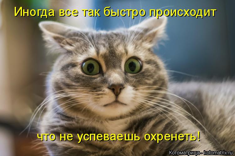 Котоматрица: Иногда все так быстро происходит что не успеваешь охренеть!
