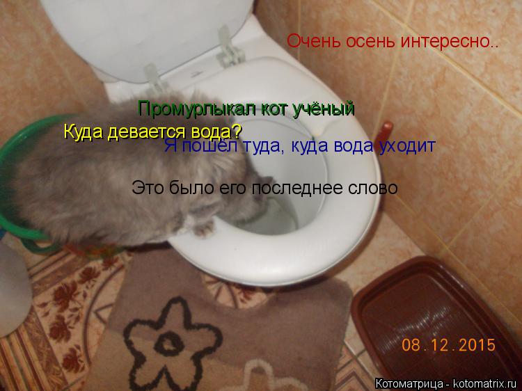 Котоматрица: Очень осень интересно.. Промурлыкал кот учёный  Куда девается вода?  Я пошёл туда, куда вода уходит  Это было его последнее слово