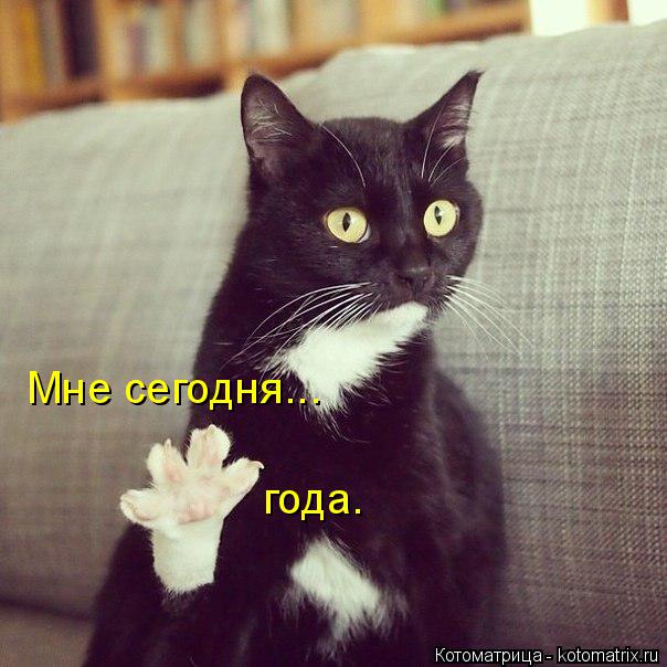 Котоматрица: Мне сегодня... года.