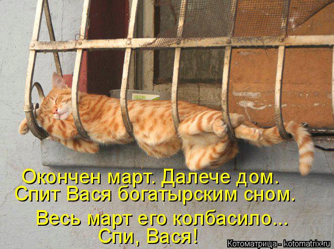Окончен март. Далече дом. Спит Вася богатырским сном. Весь март его колбасило... Спи, Вася!... Котоматрица: Окончен март. Далече дом. Спит Вася богатырским сном. Весь март его колбасило... Спи, Вася!