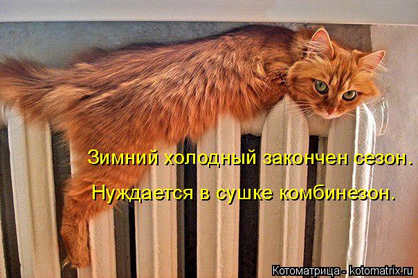 Котоматрица: Зимний холодный закончен сезон. Нуждается в сушке комбинезон.