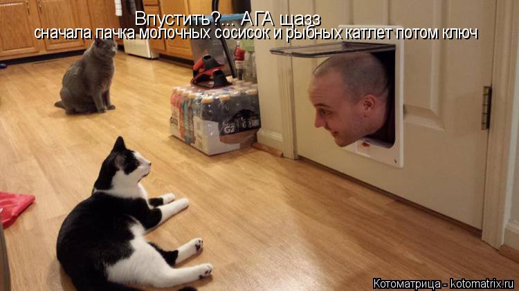 Впустить?... АГА щазз сначала пачка молочных сосисок и рыбных катлет потом ключ Впустить?... АГА щазз... Котоматрица: Впустить?... АГА щазз сначала пачка молочных сосисок и рыбных катлет потом ключ Впустить?... АГА щазз сначала пачка молочных сосисок и рыбных