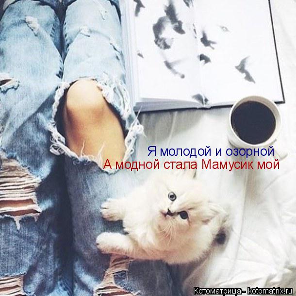 Я молодой и озорной А модной стала Мамусик мой... Котоматрица: Я молодой и озорной А модной стала Мамусик мой