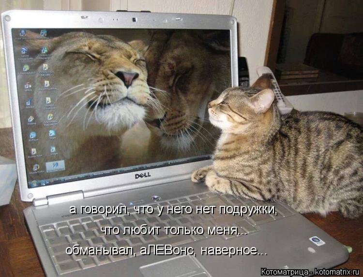 Котоматрица: а говорил, что у него нет подружки, что любит только меня... обманывал, аЛЕВонс, наверное...