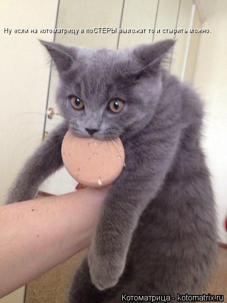 Ну если на котоматрицу в поСТЕРЫ выложат то и стырить можно.... Котоматрица: Ну если на котоматрицу в поСТЕРЫ выложат то и стырить можно.
