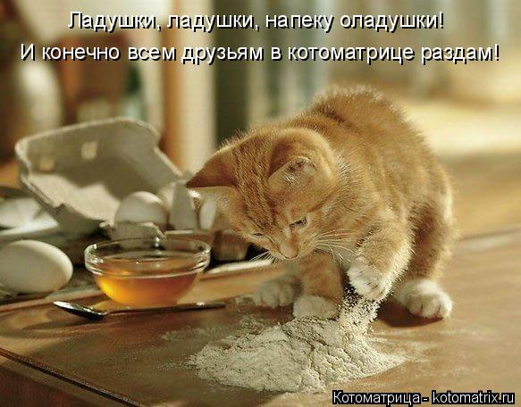 И конечно всем друзьям в котоматрице раздам! Ладушки, ладушки, напеку оладушки!... Котоматрица: И конечно всем друзьям в котоматрице раздам! Ладушки, ладушки, напеку оладушки!